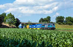 186 293 mit einem P&O-Containerzug am 02.07.2021 bei Lahr-Hugsweier.