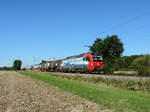 Schutterwald - 22. September 2022 : Re 193 462  Gallarate  mit einem Kombi unterwegs nach Basel.

Link zum Video : https://www.youtube.com/watch?v=H3IUSCh_qJc&t=30s