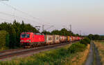 193 313	mit dem KT 41059 (Maasvlakte West - Basel SBB GB) bei Köndringen 9.6.23