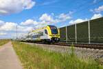 DB Regio Siemens Desiro HC 1462 510-7 und 1462 xxx-x am 13.07.23 bei Auggen (Baden Württemberg)