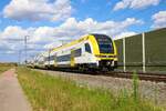 DB Regio Siemens Desiro HC 1462 502-4 am 13.07.23 bei Auggen (Baden Württemberg)