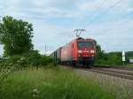 145 008-9 am 27.05.12 mit einem KLV-Zug Richtung Schweizer Grenze bei Hgelheim.