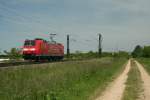 146 111-0 auf Probefahrt am 05.06.13 kurz vor Mllheim (Baden) bei Hgelheim.