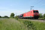 185 004-9 mit einem vollen Autozug Richtung Norden am 06.06.13 sdlich von Buggingen.