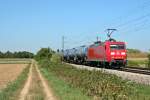 Die frisch lackierte 145 033-7 mit dem 49581 nach Basel am Nachmittag des 05.09.13 sdlich von Buggingen.