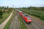 146 111-0 mit einem RE von Offenburg nach Basel am Mittag des 28.09.13 bei der Einfahrt in Mllheim (Baden).