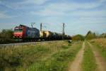 482 000-7 mit einem gemischten Kessel- und Kesselcontainerzug am Nachmittag des 19.10.13 bei Hgelheim.