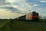 185 118-7 mit einem einem Stahlzug gen Norden am Mittag des 06.01.14 bei Hgelheim.