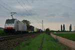 186 251 mit einem KLV-Zug aus Italien in Richtung Holland am Mittag des 18.04.14 sdlich von Hgelheim.