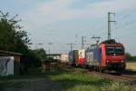 482 000-7 mit dem 43016 auf dem Weg von Gallarate nach Hamburg-Billwerder Ubf am Morgen des 01.08.14 sdlich von Auggen.