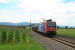 482 005-6 mit dem 49018 auf dem Weg von Basel SBB Rbf nach Kork am Mittag des 08.08.15 bei Kollmarsreute.