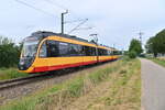 Immer wenn ich diese Triebwagen sehe fällt mir sofort ein Karnevalsschlager der Sängerin Marieluise Nikuta ein, der da heisst : Weißt du was wir fahren mit der Straßenbahn nachhause. Das Auto das bleibt stehen, wir wollen noch nicht gehen. Hier ist es schön, wir bleiben noch was hier, denn die nächste Bahn die fährt erst Morgenfrüh! 
Wenn ich die sehe kriege ich also direkt gute Laune.... ja ich habe den Text natürlich ins Hochdeutsche übersetzt, das alle ihn verstehen. Es handelt sich hier um einen S42 Zug nach Bad Rappenau. Bad Wimpfen Hohenstadt den 27.7.2021