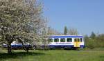 VT 413 als SWE71719 (Ottenhöfen-Achern) bei Oberachern 21.4.15