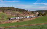 4110 101 als IC 2181 (Stuttgart Hbf - Radolfzell) bei Stockburg 22.3.24