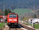 146 239-9 und 231-6 mit dem IRE4711 (Karlsruhe-Konstanz)  am km 36,3 10.4.09