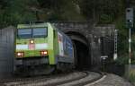 152 005-5  Claas  mit dem CS 49152 (Bludenz-Bremerhaven) am Schieferhaldetunnel 13.8.11