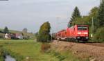 146 239-9  Hausach  mit dem RE 5323 (Karlsruhe Hbf-Kreuzlingen) bei Stockburg 28.9.13