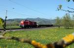 EK 55813 mit 294 855-2 bei Biberach (22.04.2015)