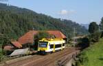 650 587? als SWE 721 (Hausach-Hornberg) bei Gutach 15.7.15