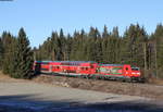 RB 17174 (Seebrugg-Freiburg(Brsg)Hbf) mit Schublok 146 239-9   Vogtsbauernhof  bei Hinterzarten 30.12.16