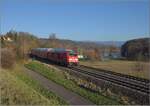 Godot-Express rechts des Hochrheins.

245 035 mit 3 Dostos. Karsau, Dezember 2021.

An jeder Station wird neuerdings erneut auf Godot gewartet. Er könnte ja noch kommen, auch wenn ihn bis heute niemand gesehen hat. Reisen im 612 war gestern, heute heißt es durch die Landschaft bummeln. Immerhin kann man besser spazieren schauen. Beachtenswert noch: Der Dosto an der Lok ist ohne Klimaanlage. Keine gute Idee am Hochrhein, wo die Sonne am Mittag die Wagen auf der Breitseite maximal aufheizt. Innen sehen die Wagen maximal dreckig aus, dagegen sind die 15 Jahre alten Schwarzwaldbahndostos hausfrauengepflegt... In der ersten Woche war bereits eine 245 nicht einsatzbereit und die vorgeblich so unzuverlässigen 612er mussten mit einer Solotraktion aushelfen.