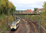 442 708+xxx als RE Stuttgart-Freudenstadt/Rottweil am 27.09.2020 in Stuttgart-Vaihingen.