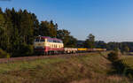 218 105 mit dem DGV 15974 (Rottweil - Villingen) bei Zollhaus 27.9.23