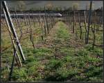 Am Weinberg -     Bald ist Stuttgart erreicht: ein ICE 1 unterhalb der Weinberge zwischen Esslingen und Mettingen im Neckartal.