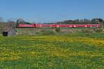 Wenige Minuten nach der Abfahrt in Bad Schussenried schiebt 146 208-4 am 21.04.2023 die Wagen des RE 5 / 4218 nach Suttgart