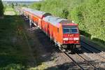 Licht und Schatten - Auf der Fahrt von Ulm nach Lindau zieht 245 036 am 06.05.2018 die Wagen des RE 4225 durch den zwischen Mochenwangen und Niederbiegen liegenden Schenkenwald.