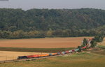 182 569-4 mit einem Containerzug bei Kirchheim 12.9.16