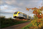 Herbstmorgen im Remstal -    Nachschuss auf einen Flirt 3-Triebzug der Go-Ahead in Fahrtrichtung Stuttgart auf der Remsbahn bei Weinstadt-Endersbach.