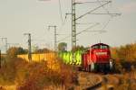 294 747-1 zwischen Coburg und Lichtenfels gleich hinter Ebersdorf am 24.10.2011