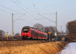 442 273 DB Regio bei Hochstadt/ Marktzeuln am 28.01.2017.