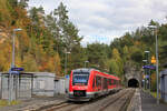 622 050 als RB 30 Neuhaus-Nürnberg am 21.10.2023 in Rupprechtstegen. 