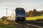 In herbstlicher Abendsonne ist Meridian ET 302 nach Salzburg unterwegs. Mauerkirchen im Chiemgau, 09.11.2014