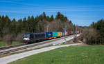 193 877 der WLC fährt mit einem umgeleiteten Containerzug bei Grabenstätt in Richtung München, aufgenommen am 26.