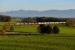 Am späteren Nachmittag des 01. November 2016 zog es mich nach Aubenhausen, um den schönen Herbstag mit einem weiten Blick über das bayerische Voralpenland ausklingen zu lassen. Als einzig fotografisch verwertbarer Güterzug kam  Teufels-Zebra  185 666 mit dem DGS 41856 von Triest nach München Ost Rbf vorbeigefahren. Die höchste Erhebung im Bildhintergrund ist übrigens die Kampenwand.