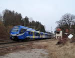 Der ET 319 des MERIDIAN verlässt als M 79018 (Traunstein - München Hbf) den Bahnhofsbereich von Aßling (Oberbay), 20.02.2020.