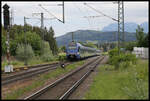 Eine Doppel Einheit der BRB mit vorn ET 324 fährt hier am 26.05.2022 um 15.33 Uhr in Teisendorf auf dem Weg nach München ein.