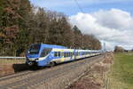 430 001 und 430 022 auf dem Weg nach München am 24. Februar 2024 bei Hufschlag/Traunstein.