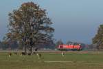 294 769 fuhr am 30. Oktober 2015 Lz nach Freilassing, hier zu sehen bei Übersee.