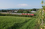 Zwei Loks der Baureihe 218 ziehen am 11.09.2016 bei Bodolz den in Lindau bernommenen EC 191, Basel - Mnchen, an Apfelplantagen vorbei die Steigung hinauf ins Allgu.