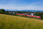 Der Radzug auf dem Weg nach Lindau bespannt mit einer 245. 3.6.18