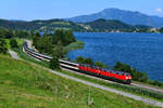 Wird der EC 192 nach Zürich HB über die Allgäubahn umgeleitet, was im Jahre 2018 über mehre Monate hinweg der Fall war, dann bietet es sich im Sommer an, den Zug am Alpsee