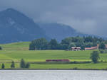 Eine Desiro-Garnitur ist hier Anfang Juli 2017 in der Nähe des Hopfensee´s unterwegs.