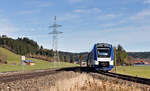 VT174 als RB77 nach Füssen am 07.11.2021 zwischen Biessenhofen und Ebenhofen.