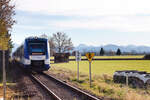 VT170+xxx als RB68 Füssen-München am 07.11.2021 bei der Einfahrt in Ebenhofen.