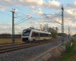 Auf Ab- oder Umwegen durch Nassenheide am 09.11.2013, ein LINT 41 der Abellio GmbH, hier der VT 11 003-1/2  Gelsenkirchen  .