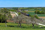 Frühling an der Riesbahn bei Ebermergen. Durch eine blühende Landschaft schlängelte sich am 26. April 2020 die 110 262 der BayernBahn mit dem DGS 59940 von Wassertrüdingen nach Langenfeld. Unter Eisenbahnfreunden ist diese Leistung besser unter dem Namen  Henkelzug  bekannt. Vom verwendeten Fahrzeugmaterial her könnte man sich der Illusion hingeben, das Bild sei schon vor über 40 Jahren entstanden.